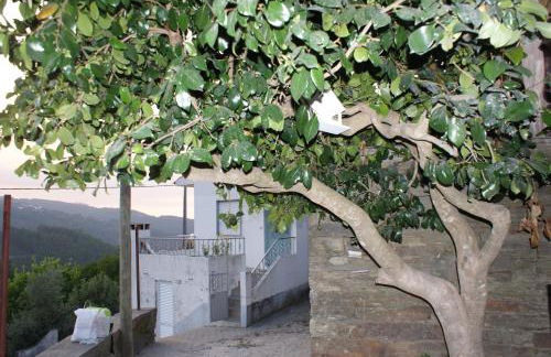 Casa do Terreiro - Foto 28