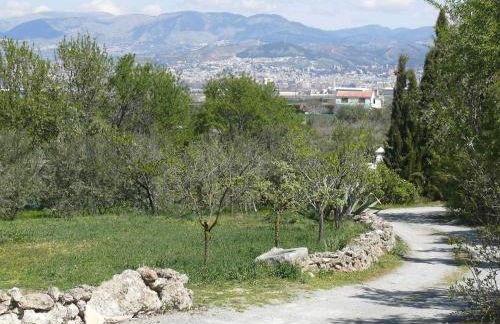 Cortijo Algabia - Photo 51