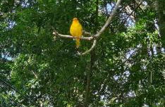 Sítio Lamounier - Foto 26