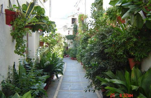 Ruralguejar - Foto 31