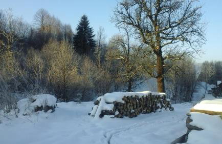 Ropuszy Dwór - Foto 25