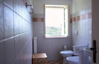 Casali del Picchio - Winery - Foto 32