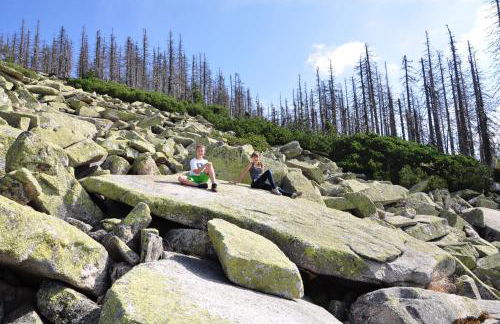 Gammerhof - Bauernhofurlaub in Waldkirchen - Foto 14
