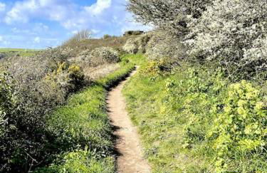 Unique Retreat - 2 bedroom cliff top cottage with large terrace - Photo 29