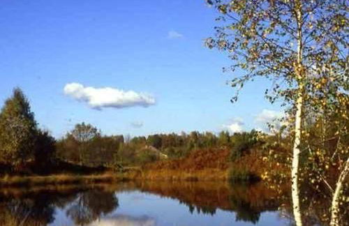 Chalet Campanules 37 - Nature, Randonnée & Famille - FR-1-583-471 - Foto 19