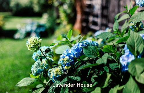 Lavender House - Foto 63