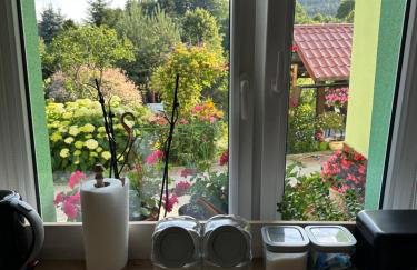 Mr. Sowa Sokolec - Foto 10