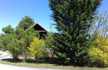 Chalet Domaine du Hulobiet - Foto 28