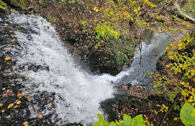 Ferienhaus in Wieda mit Garten - Foto 23