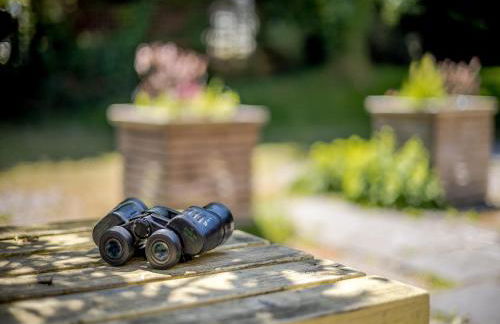 Primrose Cottage - Ukc6679 - Photo 7