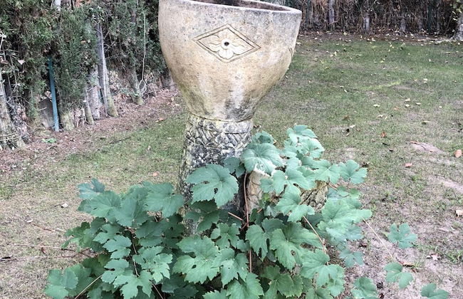 Villa Boutique Banus - Foto 73