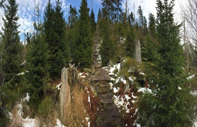 Modern Retreat in Nature - Foto 27