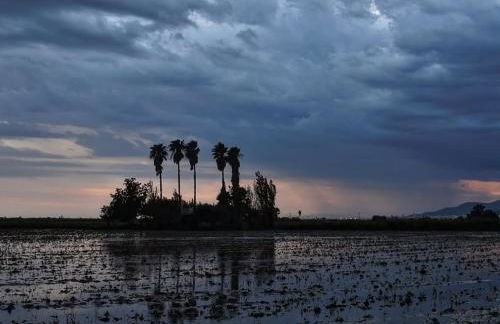 Flamenco&roof - Foto 28