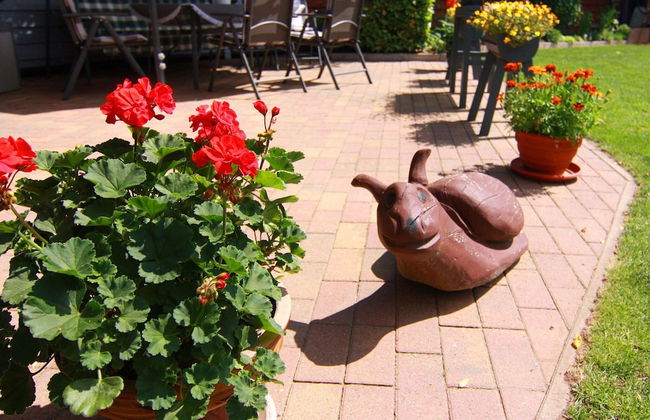 Cozy Apartment in Neubukow near Water Sports - Foto 31