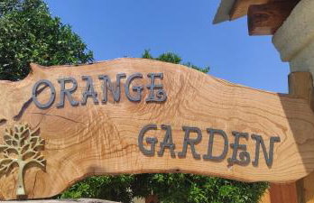 Orange Garden - Foto 37