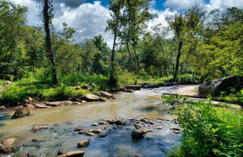 The Holiday Cabin at Lake Lure - Photo 29