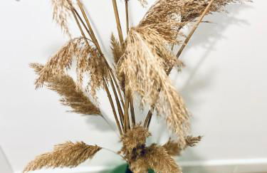 Wanderlust Beach Apartment - Foto 9