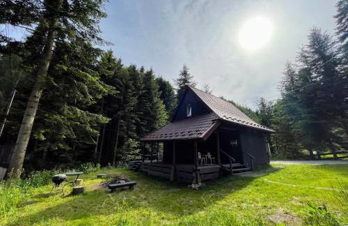 Piwniczna 187 - Vintage House - Foto 1