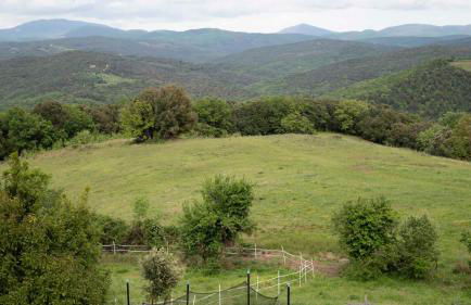 Agriturismo TerraMadre - Foto 17