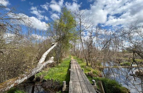 Ferienwohnung Matzenmiller - Photo 1