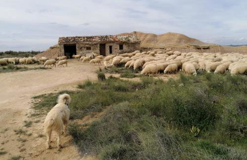 Alojamientos La Alberca - Foto 66