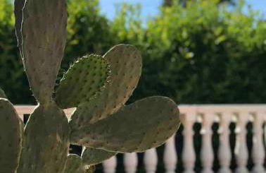 Villa dei Gelsi - Foto 5