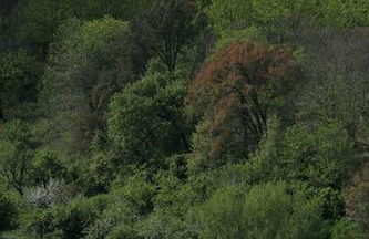 Finca El Zurrador - Foto 26