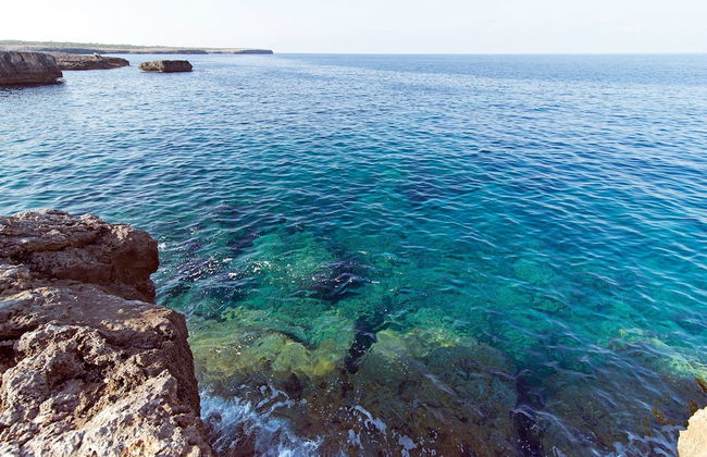 Apartamentos Mar Blanca - Photo 48