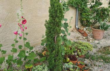 charmant logement à la campagne - Photo 20