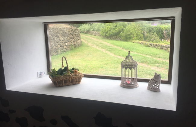 Quinta de São Braz - Foto 5