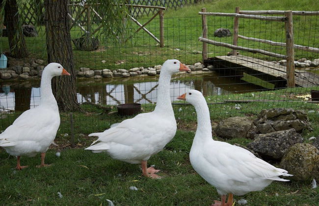 Apartment in Todi With Pool & History - Foto 37
