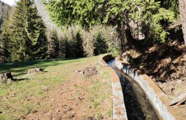 Casa per vacanze degli gnomi - Foto 42