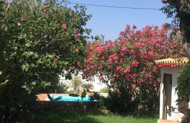 Lugar das Andorinhas - Foto 22