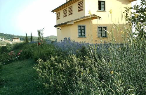 Agriturismo Musignano - Foto 118