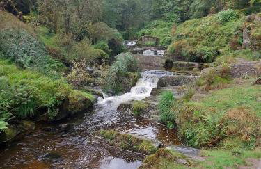 Deer Cabin-hot tub-dog friendly-mountain view - Foto 44