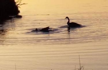 Gorgeous Nautical 2bed 2bath Lake House Chain O Lakes with Hot Tub - Foto 51