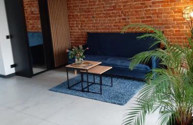 Apartamenty Gliwice Staromiejska 65 - Foto 24