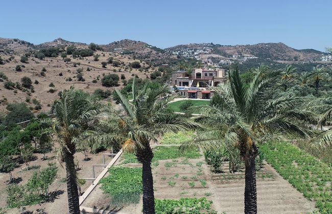 Palmiye Tepesi - Foto 78