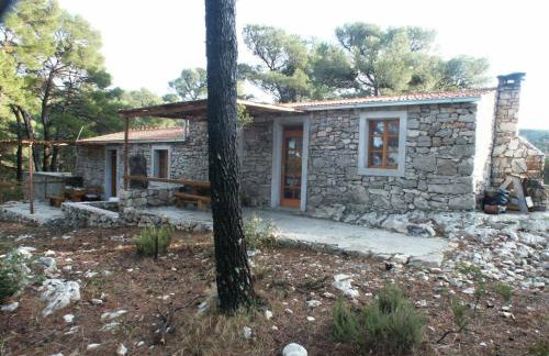 Apartments by the sea Pomena, Mljet - 614 - Photo 3