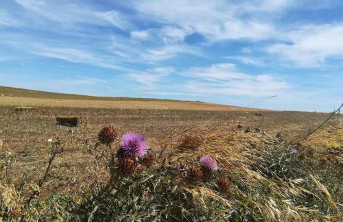 Casa das Flores - Foto 37