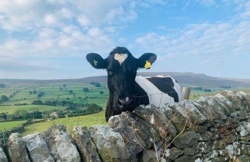 Galboly Cottage - Photo 54