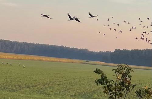Ferienhaus Naturblick - Foto 1