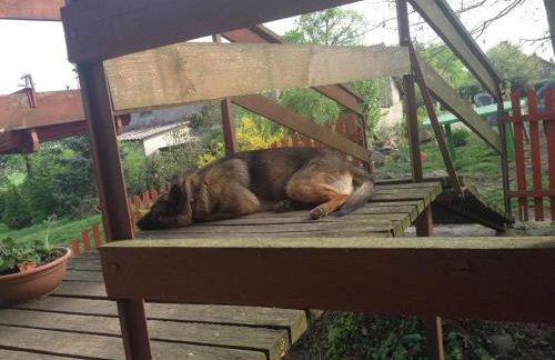 Agroturystyka 'Pod dębem' - Foto 13