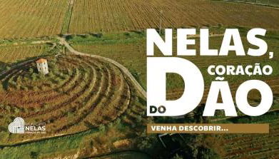 O Cantinho da Penetra AL - Foto 2