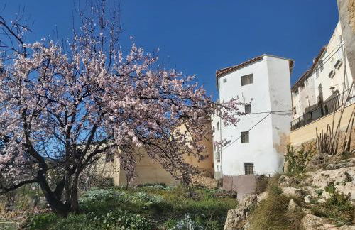 Candela de la Murtera - Foto 55