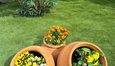 Casa Rural Dani. Escalona - Foto 5, Garden