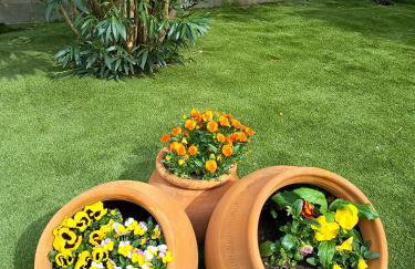 Casa Rural Dani. Escalona - Foto 5