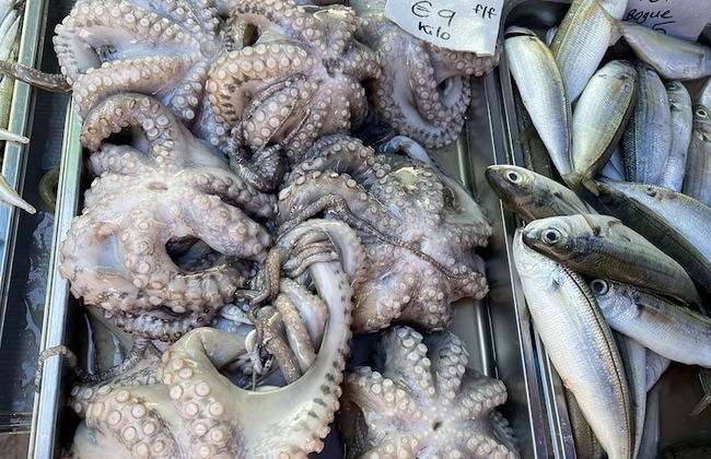 Sunset Modern Apt - Near Beach, Wifi & Cable TV - Foto 23