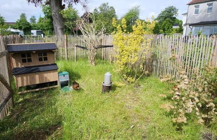 Ferienwohnung Hafen - Foto 33