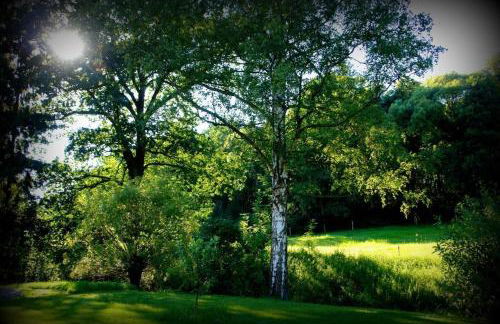 Ferienhaus Räucherhäusel - Foto 26